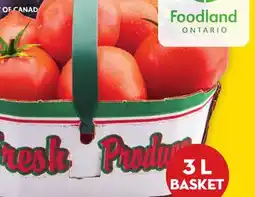 Giant Tiger 3 L field tomatoes offer