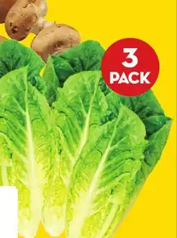 Giant Tiger 3-pack romaine hearts offer