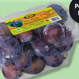 IGA BLUE PLUMS offer