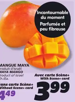 IGA MAYA MANGO offer