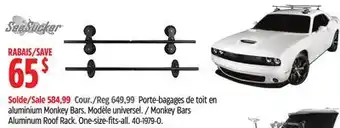 Canadian Tire SeaSucker Monkey Bars Aluminum Roof Rack offer