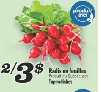 Marché Richelieu RADIS EN FEUILLES | TOP RADISHES offer