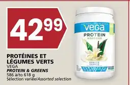 Rachelle-Bery Grocery VEGA PROTEIN & GREENS offer