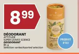 Rachelle-Bery Grocery ATTITUDE DEODORANT offer