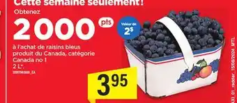 Maxi raisins bleus offer