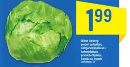 Maxi laitue Iceberg offer