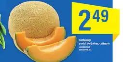 Maxi CANTALOUP PRODUIT DU QUÉBEC, CATÉGORIE offer