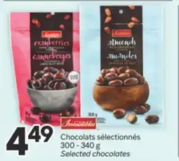 Brunet IRRESISTIBLES Chocolats sélectionnés offer