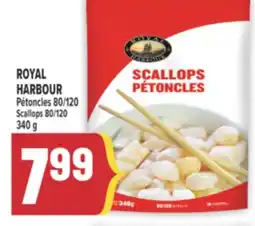 Marché Adonis ROYAL HARBOUR Pétoncles 80/120 | ROYAL HARBOUR Scallops 80/120 offer