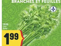 Marché Adonis CÉLERI | Celery offer
