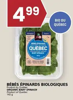 Rachelle-Bery Grocery ORGANIC BABY SPINACH offer