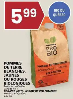 Rachelle-Bery Grocery ORGANIC WHITE, YELLOW OR RED POTATOES offer
