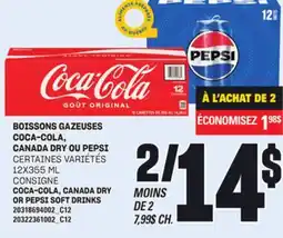 Provigo BOISSONS GAZEUSES COCA-COLA, CANADA DRY OU PEPSI, 12X355 ML offer