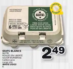 Marches Tradition NUTRI Large size WHITE EGGS offer
