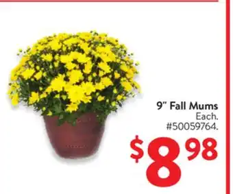 Walmart 9 Fall Mums offer