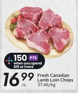 Sobeys Fresh Canadian Lamb Loin Chops offer