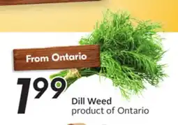 Sobeys Dill Weed offer