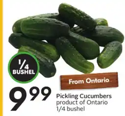 Sobeys Pickling Cucumbers offer