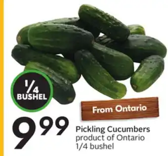 Sobeys Pickling Cucumbers offer