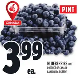 Metro BLUEBERRIES offer
