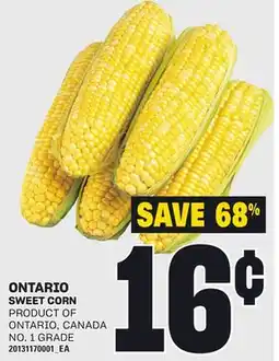 Loblaws SWEET CORN offer
