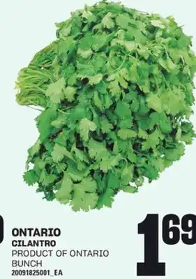 Loblaws CILANTRO, BUNCH offer