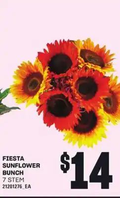 Loblaws FIESTA SUNFLOWER BUNCH, 7 STEM offer
