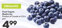 Longo's Fresh Organic Blueberries offer