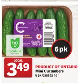 Foodland Mini Cucumbers offer