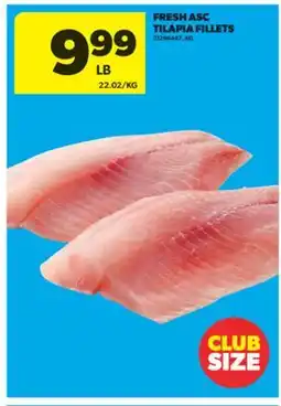 Real Canadian Superstore FRESH ASC TILAPIA FILLETS offer