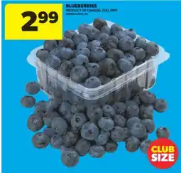 Real Canadian Superstore BLUEBERRIES offer