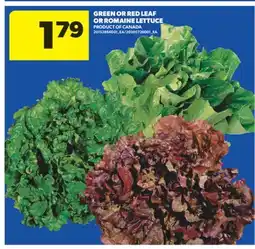 Real Canadian Superstore GREEN OR RED LEAF OR ROMAINE LETTUCE offer