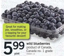 Fortinos WILD BLUEBERRIES offer