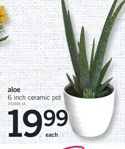 Fortinos ALOE offer