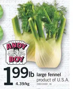 Fortinos LARGE FENNEL offer