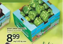Fortinos GREEN SWEET PEPPERS, avg 5.45 kg case offer