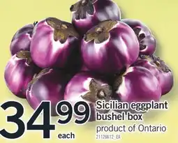 Fortinos SICILIAN EGGPLANT BUSHEL BOX offer