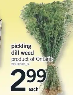 Fortinos PICKLING DILL WEED offer