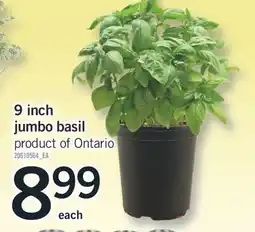 Fortinos 9 INCH JUMBO BASIL offer