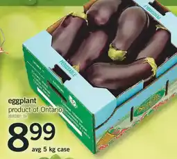 Fortinos EGGPLANT offer