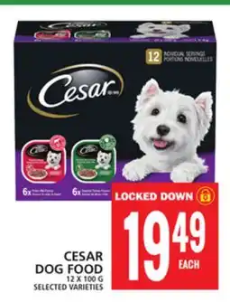 Food Basics CESAR DOG FOOD offer
