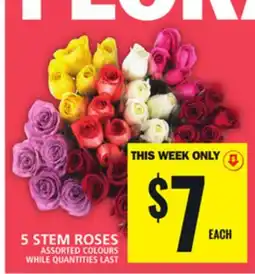 Food Basics 5 STEM ROSES offer