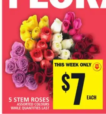 Food Basics 5 STEM ROSES offer