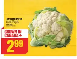 No Frills CAULIFLOWER offer