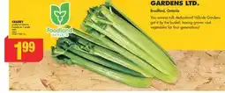 No Frills CELERY offer