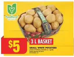 No Frills SMALL WHITE POTATOES, 3 L BASKET offer