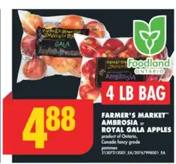 No Frills FARMER'S MARKET AMBROSIA or ROYAL GALA APPLES, 4 LB BAG offer
