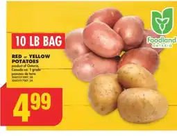 No Frills RED OR YELLOW POTATOES, 10 LB BAG offer