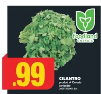 No Frills CILANTRO offer