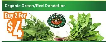 Healthy Planet Organic Green/Red Dandelion offer
